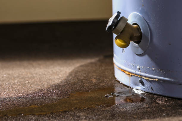 Best Ceiling water damage repair  in West Hills, PA
