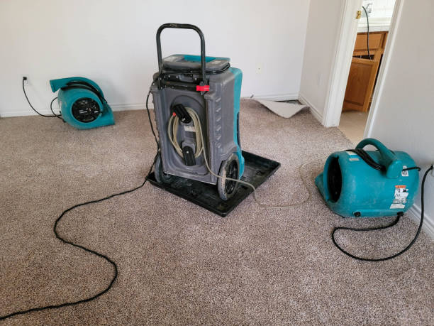 Best Water damage cleanup near me  in West Hills, PA