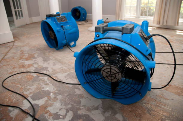 Best Water damage restoration near me  in West Hills, PA