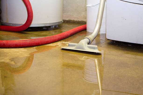 Best Basement water damage restoration  in West Hills, PA