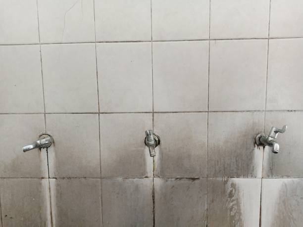 Best Carpet water damage restoration  in West Hills, PA